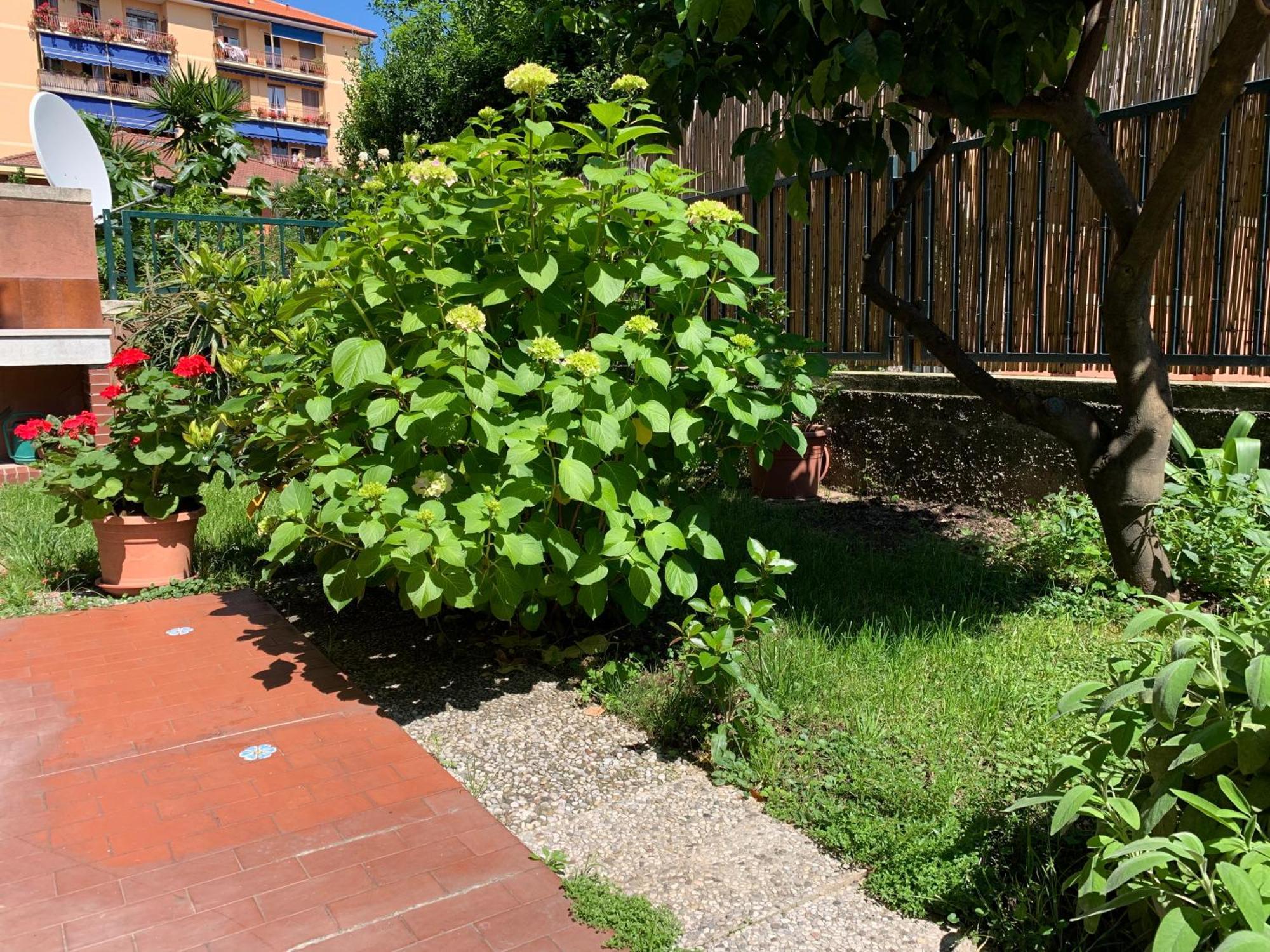 Apartament Il Giardino Dei Limoni Chiavari Zewnętrze zdjęcie
